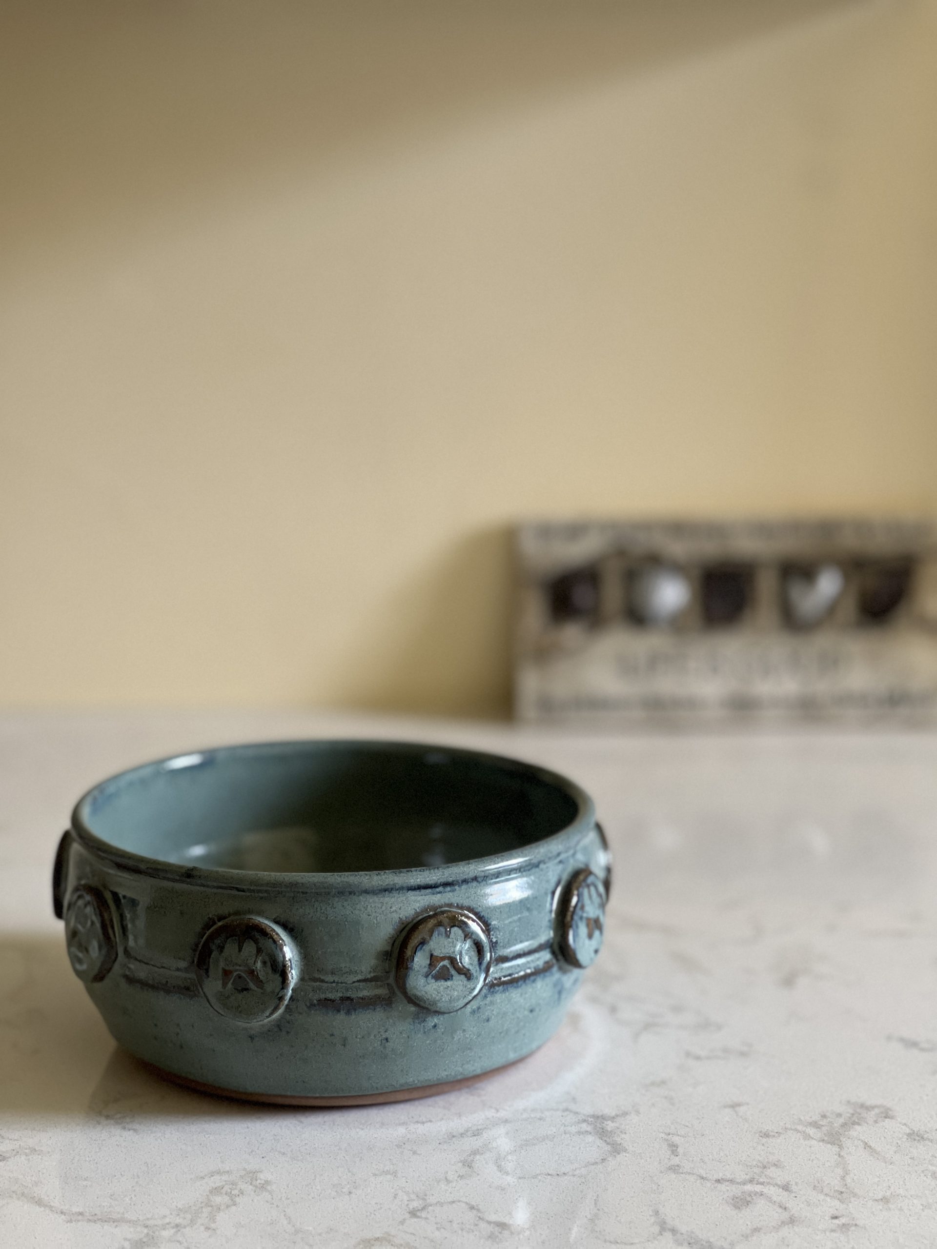 Dragonfly Clay Creations, Pottery Studio, Cornwall, Ontario, Pottery Stoneware, Pet Bowl, Dog Dish