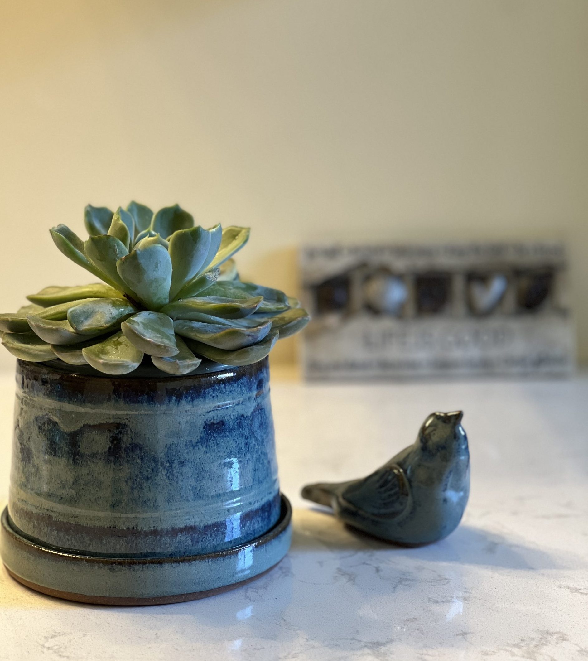 Dragonfly Clay Creations, Pottery Studio, Cornwall, Ontario, Pottery Stoneware, Planter with Drainage Tray, Handmade