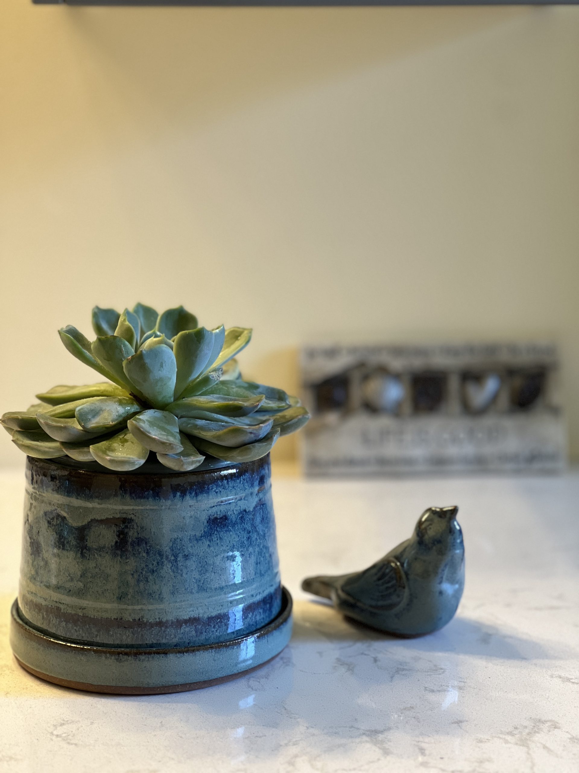 Dragonfly Clay Creations, Pottery Studio, Cornwall, Ontario, Pottery Stoneware, Planter with Drainage Tray, Handmade