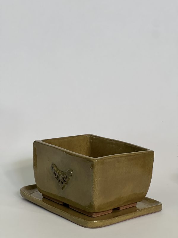 Dragonfly Clay Creations, Pottery Studio, Cornwall, Ontario, Pottery Stoneware, Bonsai Pot
