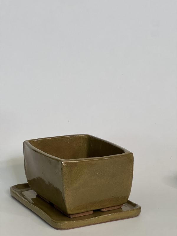 Dragonfly Clay Creations, Pottery Studio, Cornwall, Ontario, Pottery Stoneware, Bonsai Pot